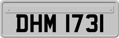 DHM1731