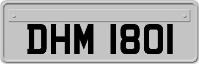 DHM1801