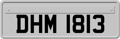 DHM1813