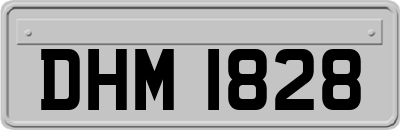 DHM1828