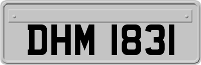 DHM1831