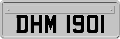 DHM1901