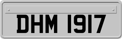 DHM1917