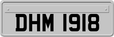 DHM1918