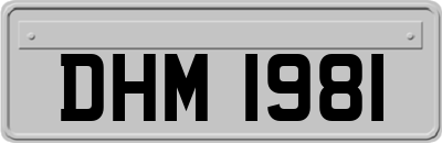 DHM1981