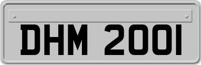 DHM2001