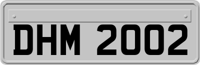 DHM2002