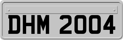 DHM2004