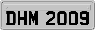 DHM2009