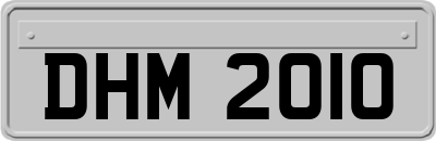 DHM2010