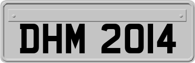 DHM2014