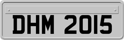 DHM2015