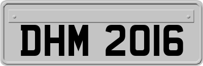 DHM2016