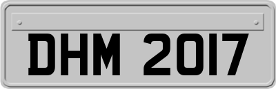 DHM2017