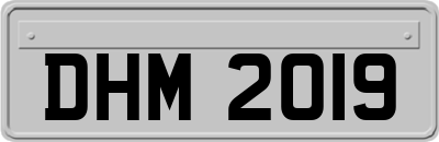 DHM2019