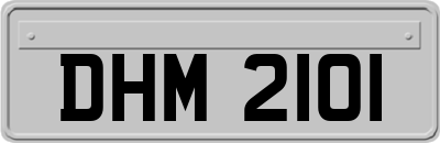 DHM2101