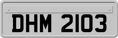 DHM2103