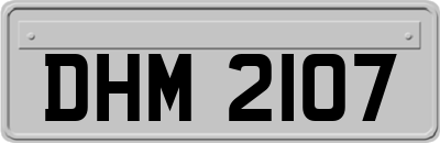 DHM2107