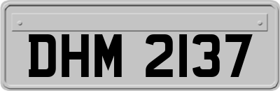 DHM2137