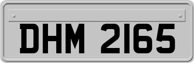 DHM2165
