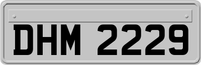 DHM2229