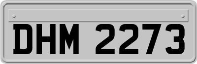 DHM2273