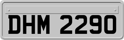 DHM2290