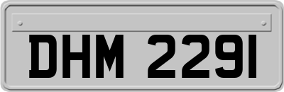 DHM2291