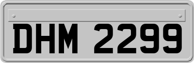 DHM2299