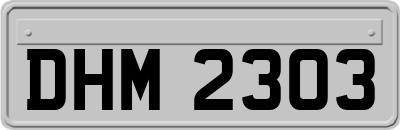 DHM2303