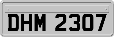 DHM2307