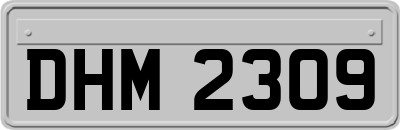 DHM2309