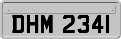 DHM2341