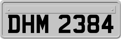 DHM2384