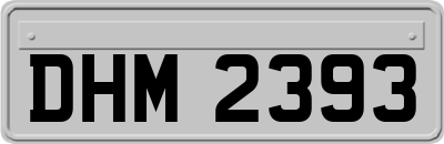 DHM2393