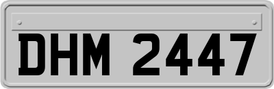 DHM2447