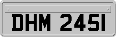 DHM2451