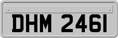 DHM2461