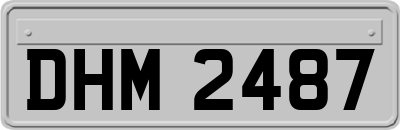 DHM2487