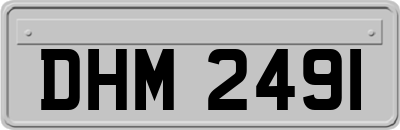 DHM2491
