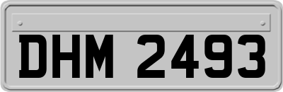 DHM2493