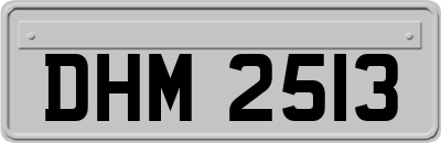 DHM2513