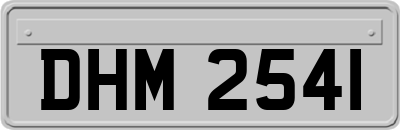 DHM2541