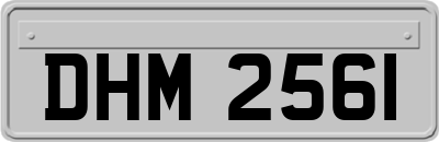 DHM2561