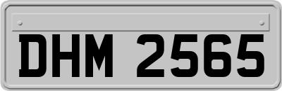 DHM2565