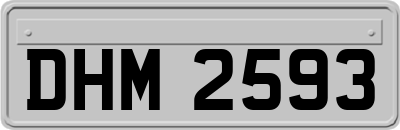 DHM2593