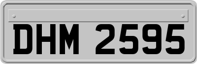 DHM2595