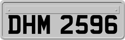 DHM2596