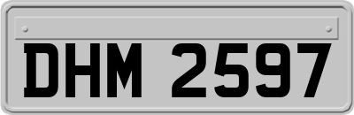 DHM2597