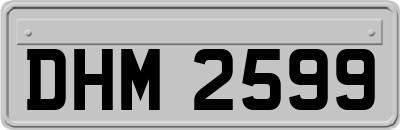 DHM2599